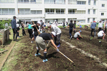 写真：クワを使う様子