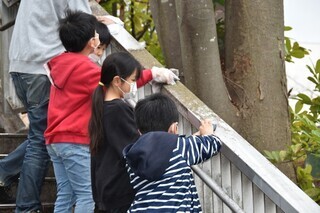 写真:当日の様子4