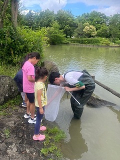 ザリワンの様子