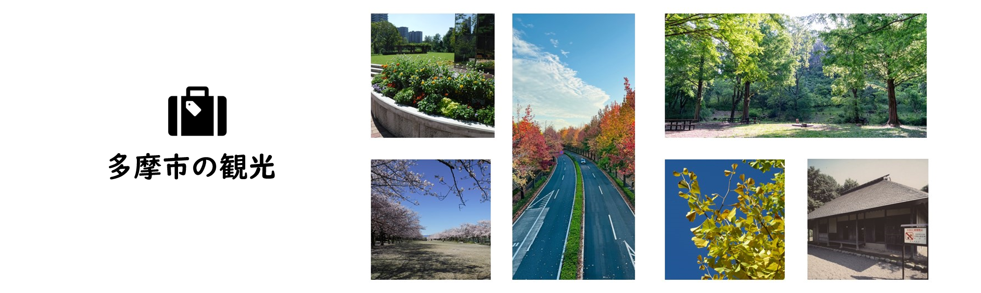 タイトル：多摩市の観光
