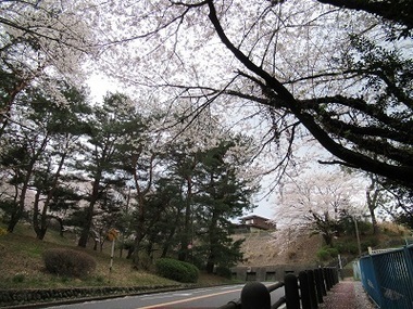 いろは坂の写真