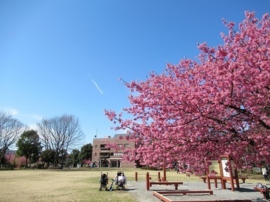 乞田貝取ふれあい広場公園の写真2