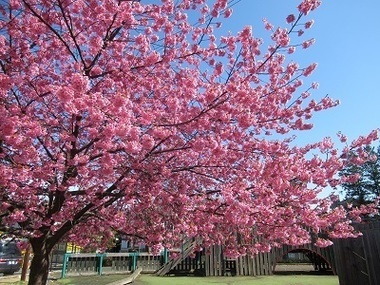 乞田貝取ふれあい広場公園の写真1