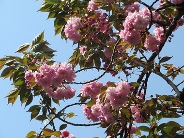 西落通りの写真2