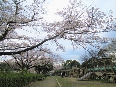 諏訪南公園の写真2