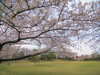 諏訪南公園の写真1