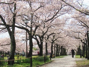 宝野公園の写真1