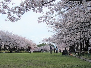 宝野公園の写真2