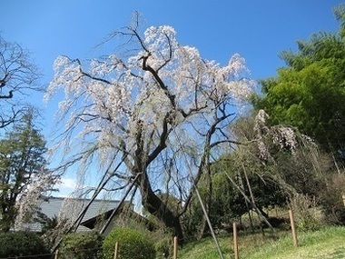 鶴牧西公園の写真1