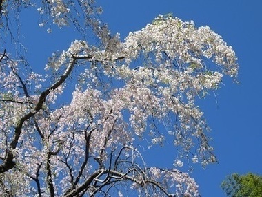 鶴牧西公園の写真2