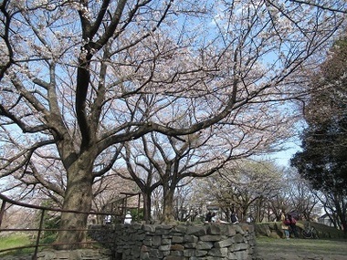 よこやまの道丘の上広場の写真