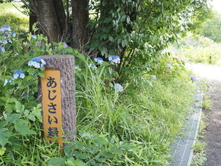 あじさい緑地の写真1