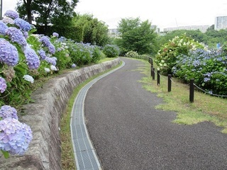 あじさい緑地の写真3