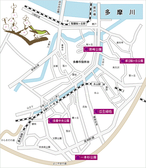 地図：観梅マップ