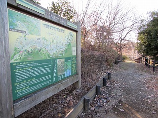 多摩よこやまの道の写真2