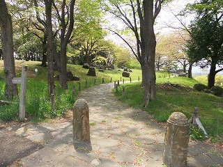 多摩よこやまの道の写真1