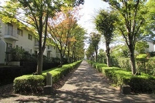 遊歩道　そよかぜのみちの写真