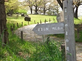 多摩よこやまの道　丘の上広場の写真