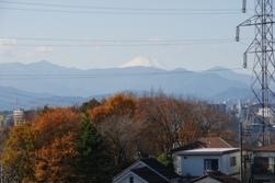 写真：連光寺天王森から見る富士山　平成21年12月7日撮影