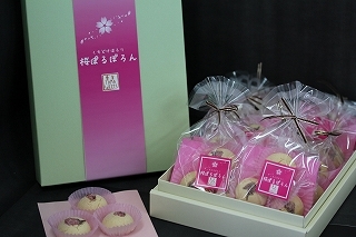 写真：桜ぽるぼろん