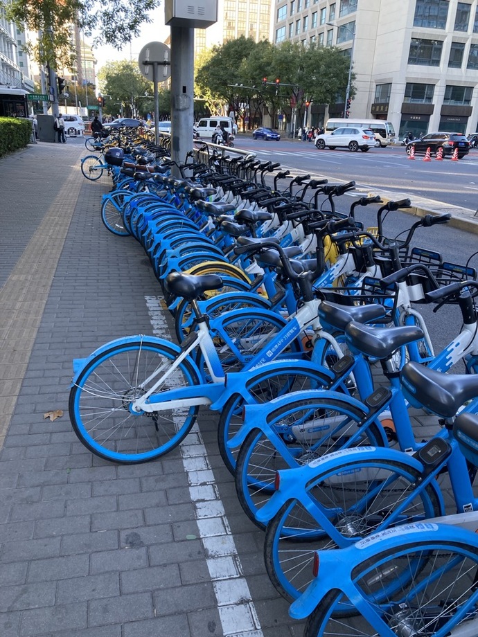 写真：シェアサイクルの様子