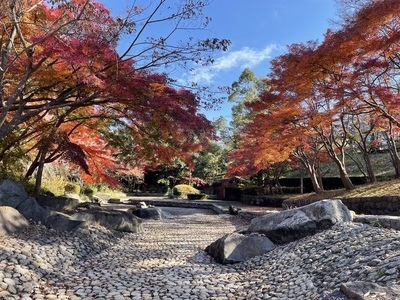 一本杉公園の写真
