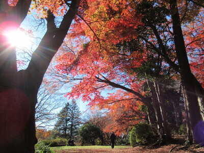 都立桜ヶ丘公園の写真