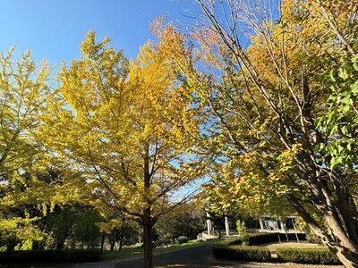 鶴牧西公園の写真
