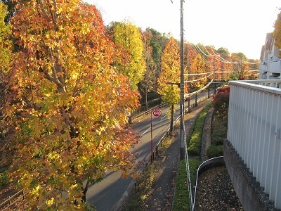 馬引沢北通りの写真