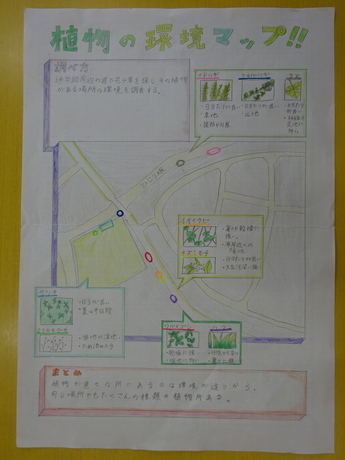 植物の環境マップ！！