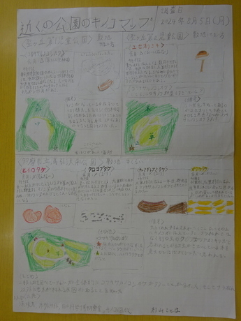 近くの公園のキノコマップ