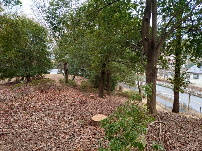 貝取山緑地の伐採後の様子