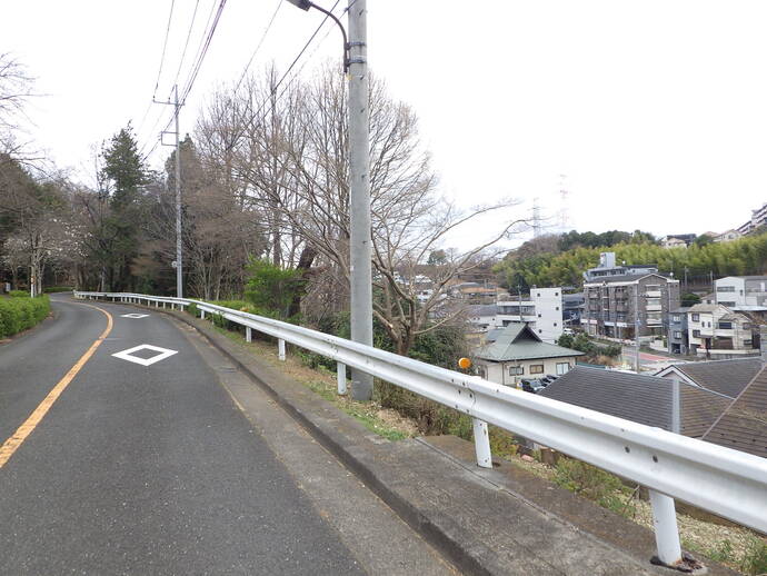 伐採後の貝取山緑地の様子