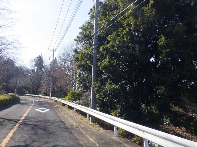 貝取山緑地伐採前の様子