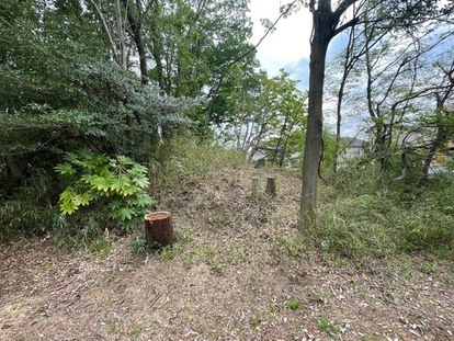 伐採後の鶴牧第1緑地