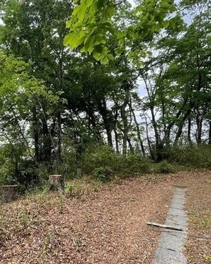 伐採後の鶴牧第1緑地の様子