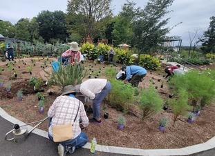 コミュニティガーデンで園芸作業をしている講座参加者の写真