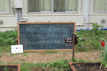 写真：授業の目標を黒板に示してわかりやすくしています。「おいしいやさいをそだてたい。なつやさいのなえをうえよう！　ジョウロで水をあげよう」