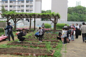 写真：苗植えの様子1