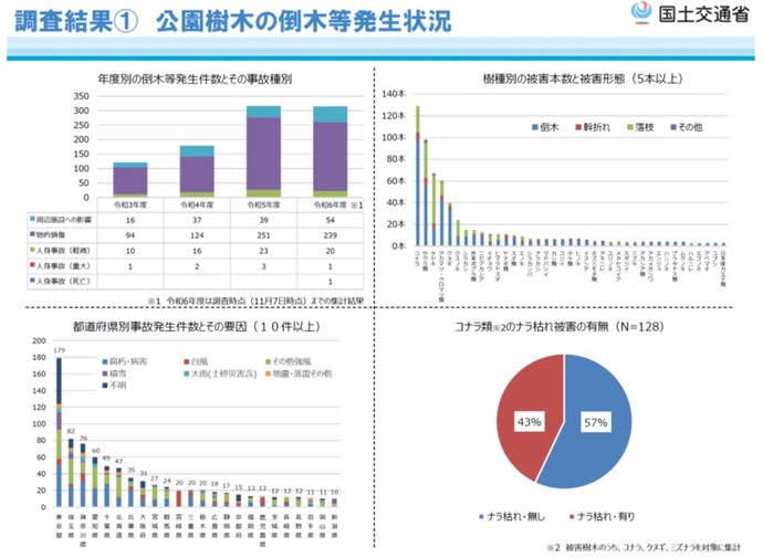調査結果（1）公園樹木の倒木等発生状況