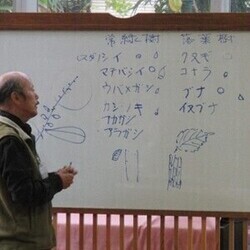 ホワイトボードの前で講義をする講師の写真