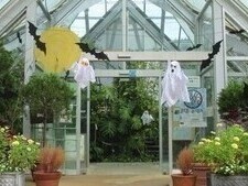 ハロウィン装飾をした温室入口の写真