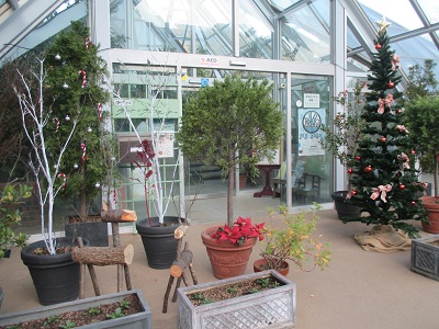 グリーンライブセンター温室入口のクリスマス飾りの写真