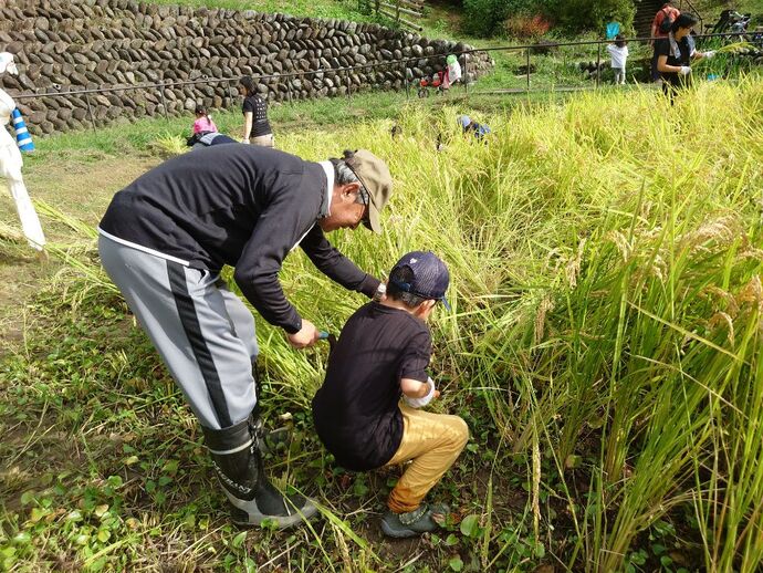 中組青葉会写真