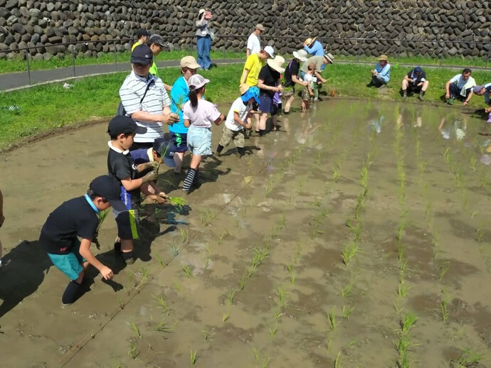 中組青葉会写真