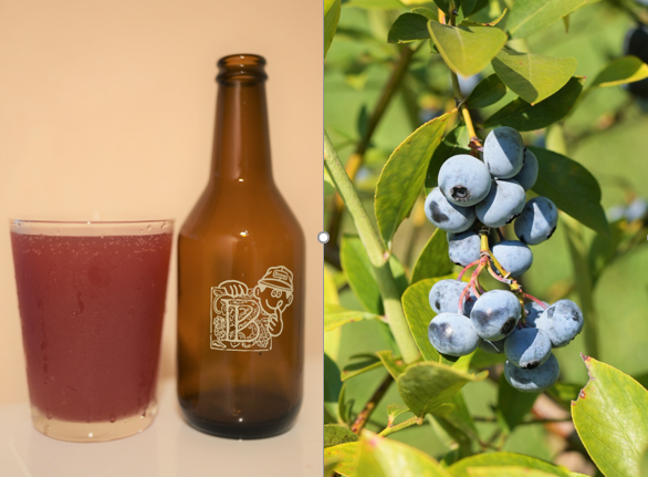 ブルベリーサワーエールと多摩市産のブルーベリー