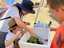 サワガニをつかまえている親子の写真