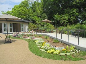 グリーンライブセンターの花壇の写真