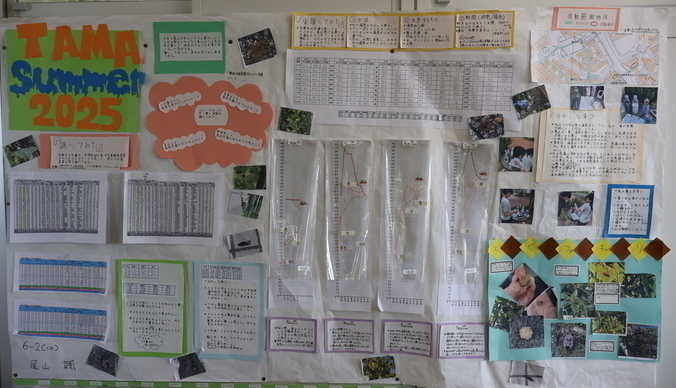 TAMA　SUMMER　2025