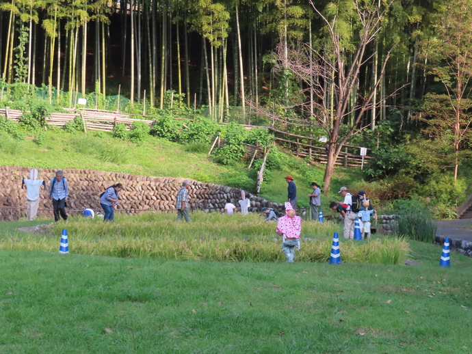 seibututayouseisenter